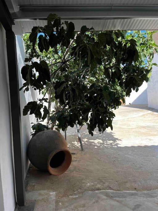 Agradable Casa Con Chimenea Interior Y Barbacoa. Villa Graja de Iniesta Екстериор снимка
